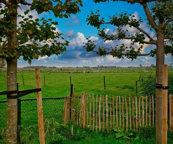 Ferienhaus Het Gouwe Boetje
