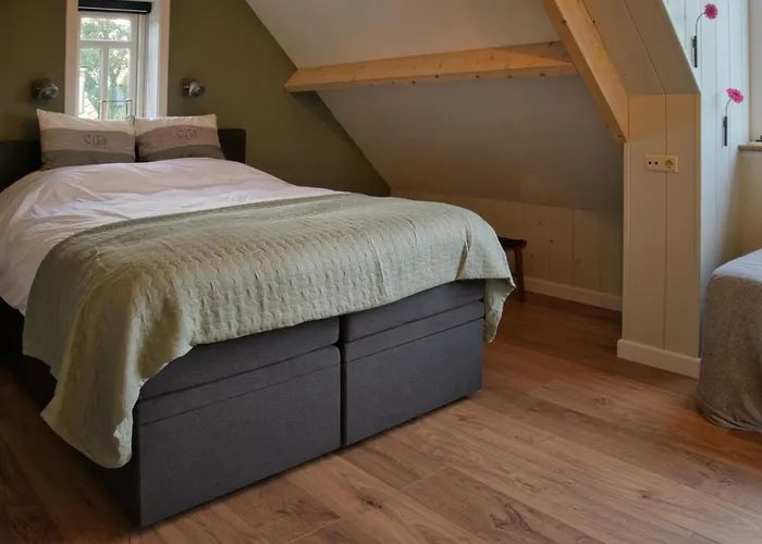 Het Gouwe Boetje Ferienhaus *