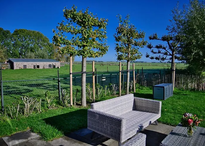 Het Gouwe Boetje Ferienhaus