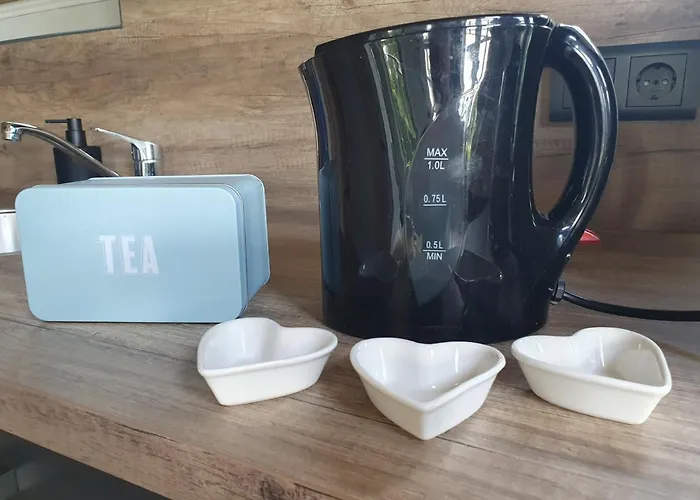 Het Gouwe Boetje Ferienhaus *